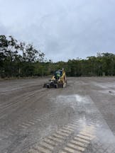 Dingo for Hire in Landsborough