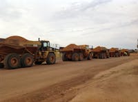 Vernice Pty Ltd