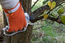 Logo of Cutting Edge Tree Maintenance