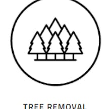 Logo of Tree Essence
