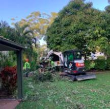 Tree Clearing in Oxenford