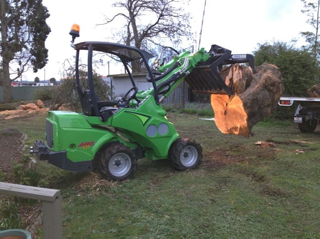 Tree Clearing
