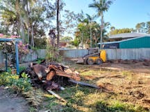 Tree Clearing in Morningside