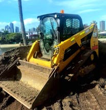 Dingo for Hire in Arundel