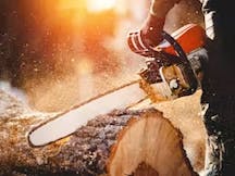 Land Clearing Services in Bedford