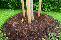Dirt Effects