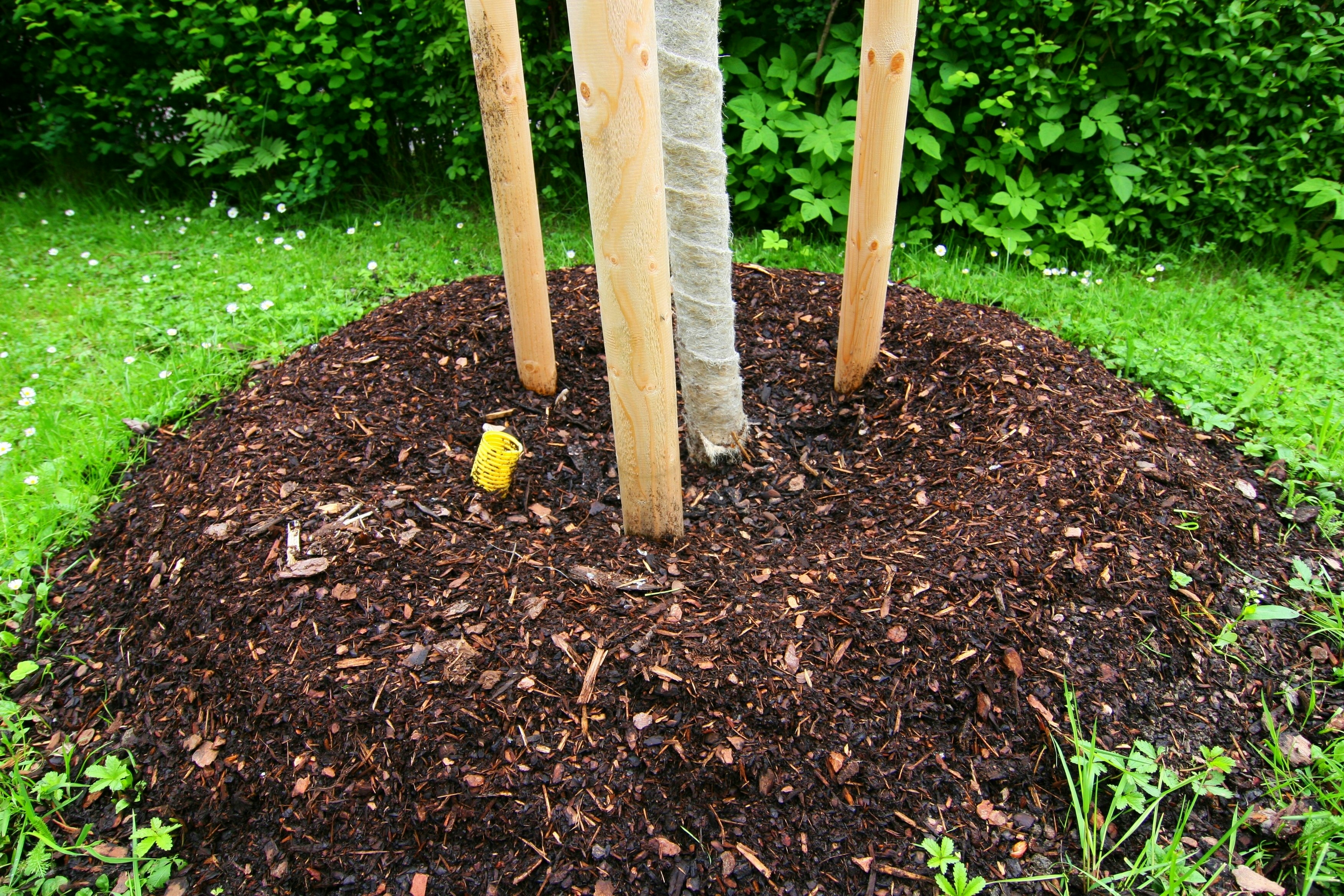 Slashing and mulching