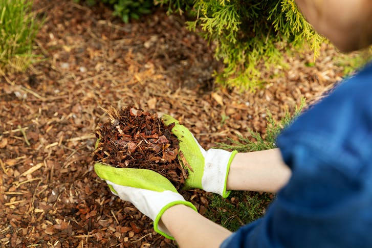 Tree Mulching
