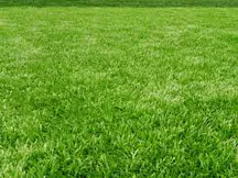 Landscaping Supplies in Spring Creek
