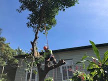 Land Clearing Services in Mooroobool