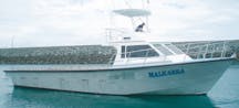 Marine Plant & Equipment for Hire in Townsville