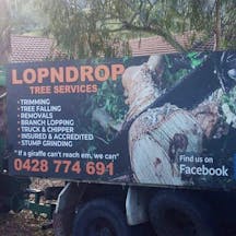 Logo of LOPNDROP TREE SERVICES