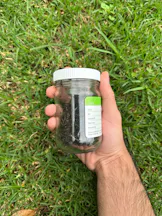 Soil Testing in Sydney