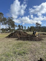 Tree Clearing in Beerwah