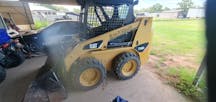 Dingo for Hire in Bohle