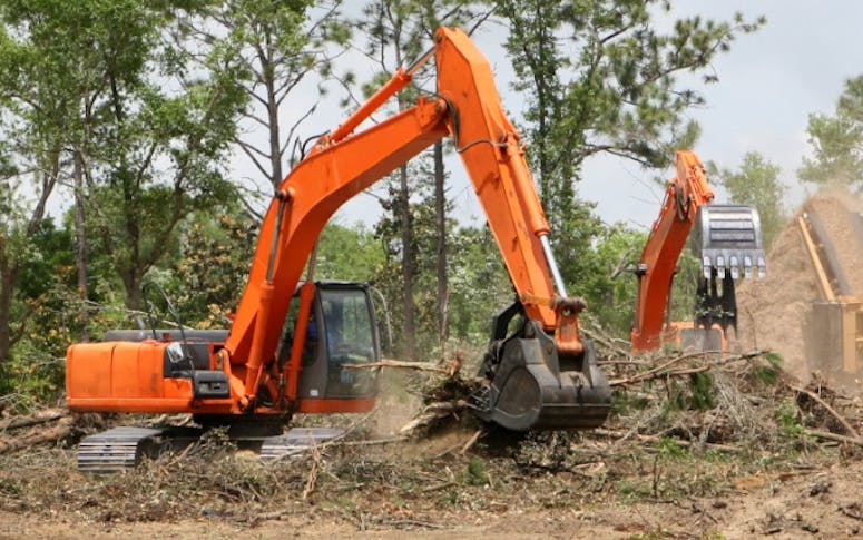 Tree Clearing