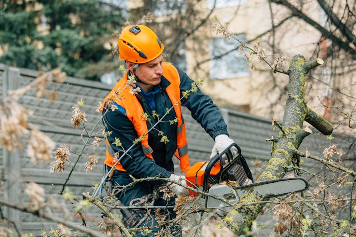 Arborists