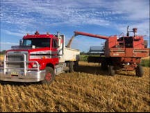 Bulk Haulage for Hire in Dubbo