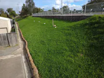 Hydroseeding in Medowie