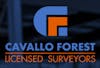 Logo of Cavallo, Forest & Associates