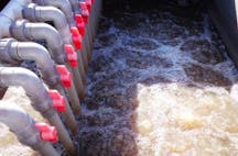 Environmental Management in Gladstone Central