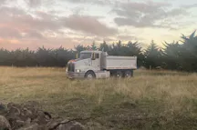 Bulk Haulage for Hire in Donald
