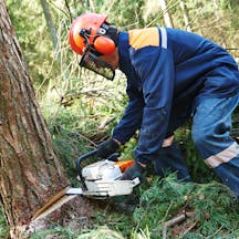 Logo of Murray Darling Tree Technicians