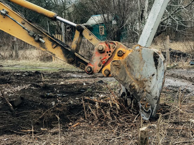 Tree Clearing