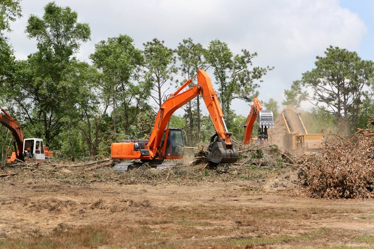 Tree Clearing