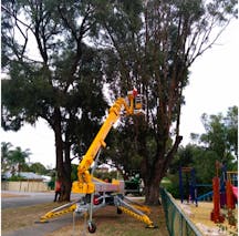 Logo of Aussie Tree Services