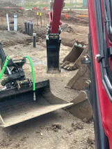 Dingo for Hire in Delahey