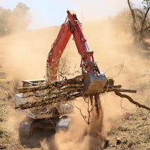 Tree Clearing in Jilliby