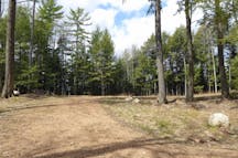 Land Clearing Services in Logan Village