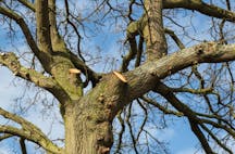 Land Clearing Services in Smithfield