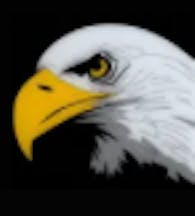 Logo of Eagle Eye Traffic Services