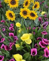Landscaping Supplies in Bonnyrigg
