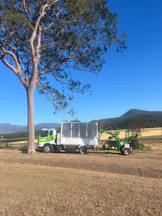 Tree Lopping in Tarome