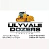 Logo of Lilyvale Dozers