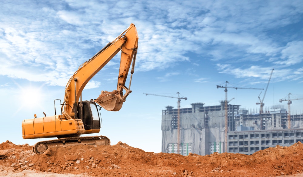 Land clearing, vegetation, and large tree management