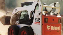 Dingo for Hire in Darley