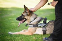 SSTC Industrial Services