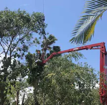 Land Clearing Services in Aloomba