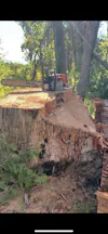 Land Clearing Services in Kin Kin