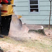 Logo of Coast Wide Stump Grinding & Tree Services