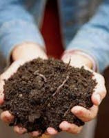 Coastal Landscape Supplies