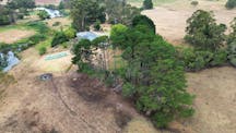 Tree Clearing in Stratford