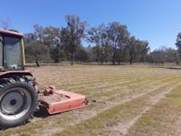 Buckshot Dozer Hire