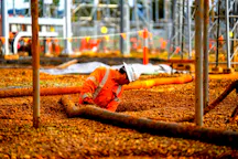 Labour Hire in Karratha
