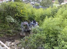 Tree Clearing in Frenchs Forest