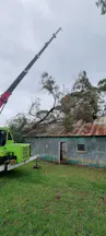 Tree Clearing in Middle Dural
